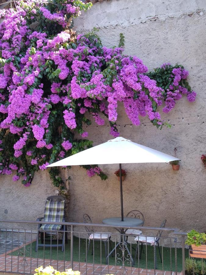 Il Giardino Di Laura Lägenhet Toscolano Maderno Exteriör bild